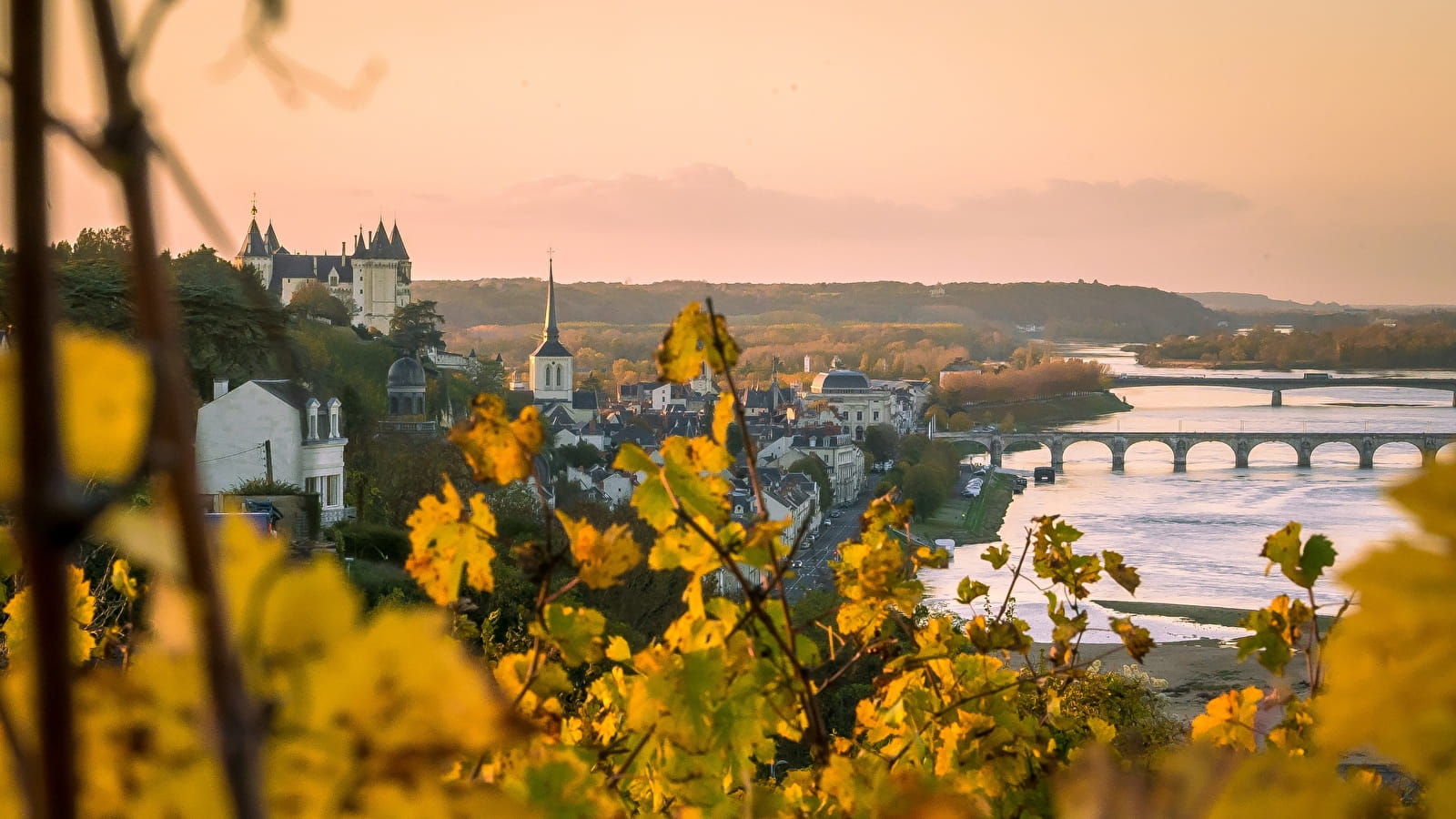 Vue Saumur