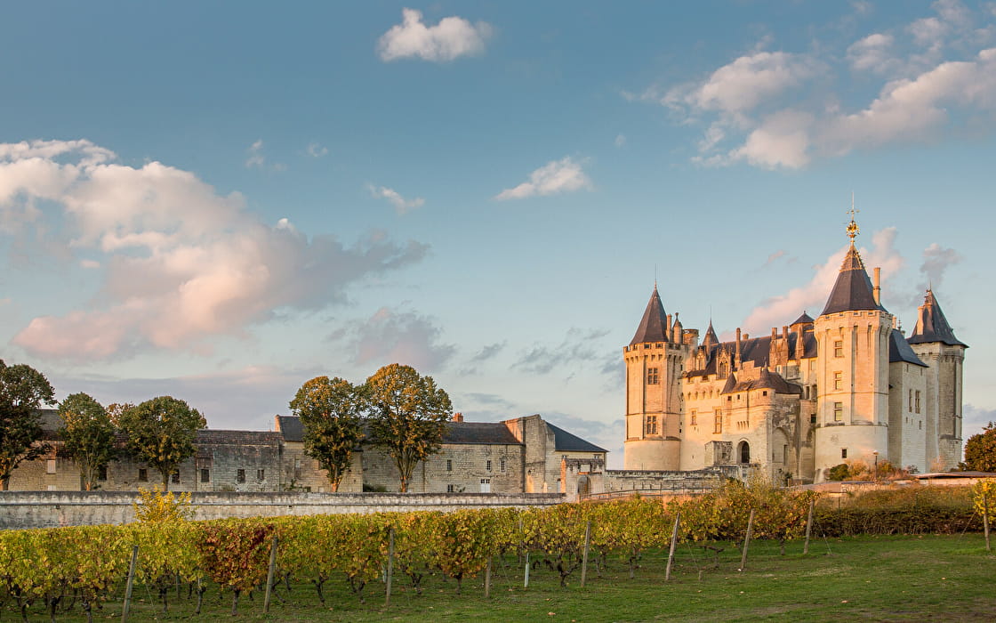 Vue sur le château de Saumur et ses vignes