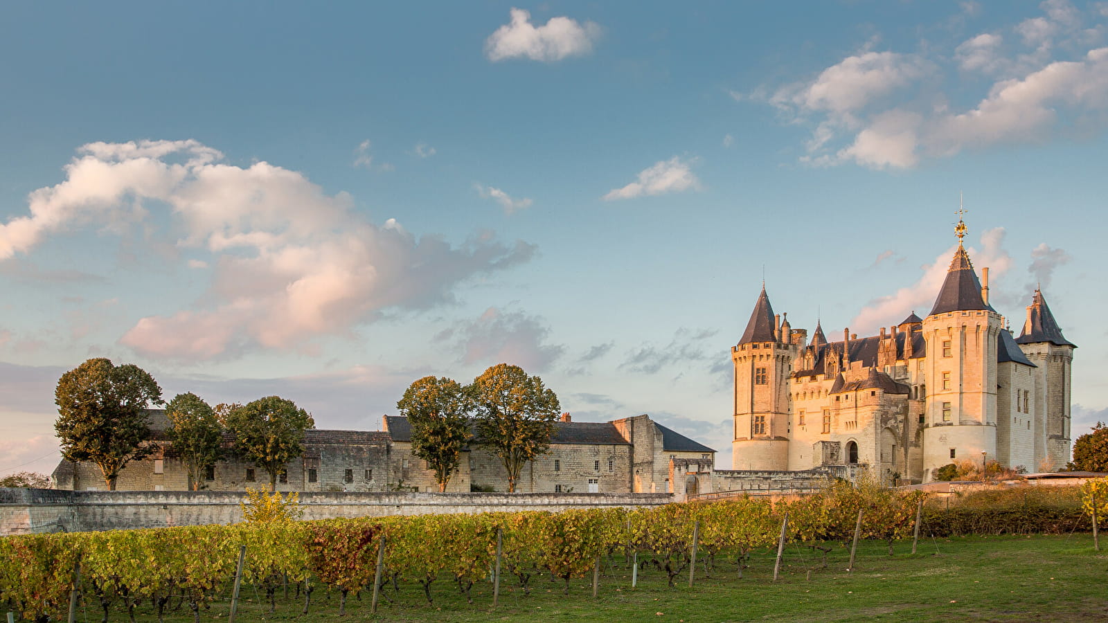 Vue sur le château de Saumur et ses vignes