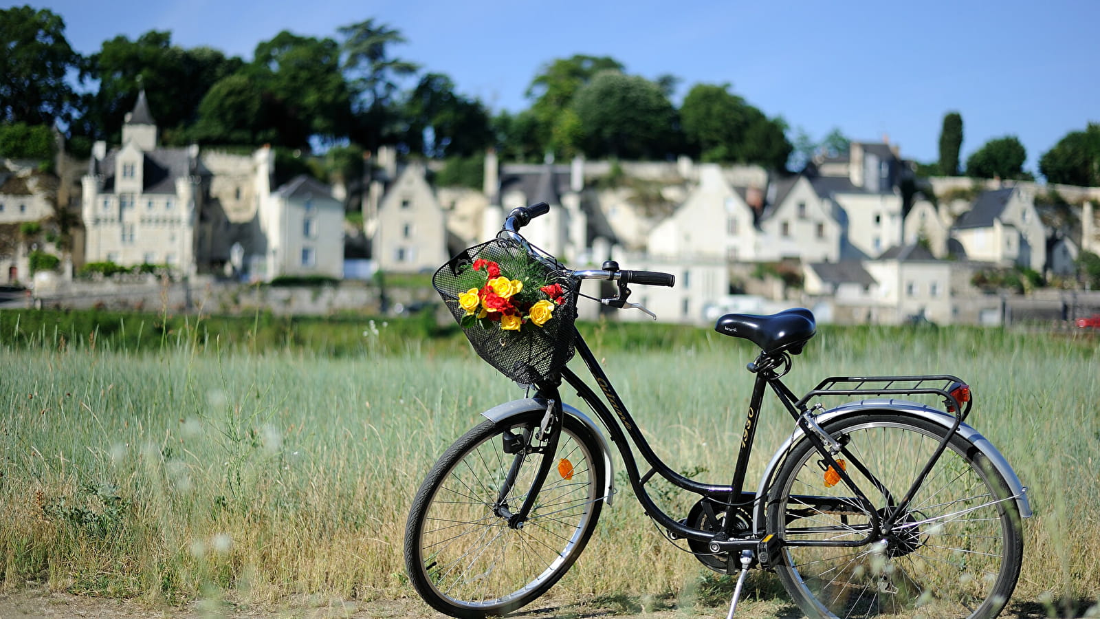 Vélo à Souzay-Champigny