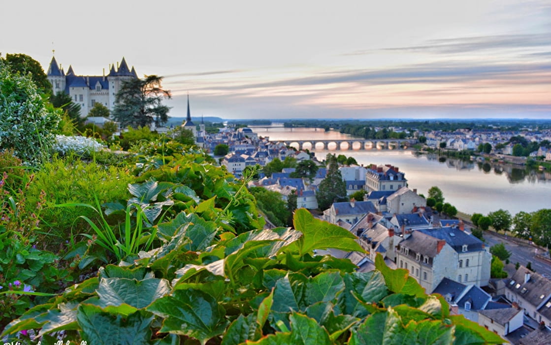 GR de Pays Saumur Val de Loire, Panorama vignoble, Loire et Château